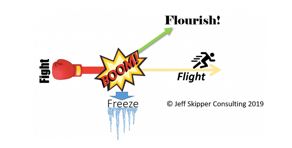 Flourishing During Change: An Alternative to Fight or Flight